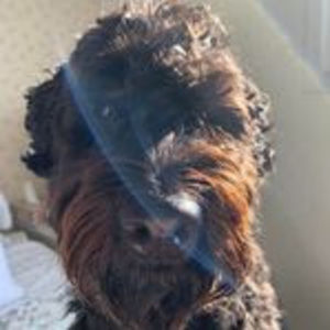 Meet your Posher, Malikai